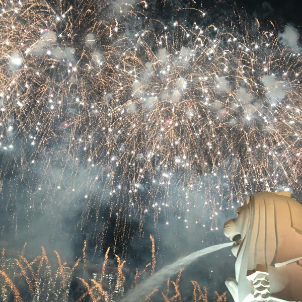 更新 シンガポールのナショナルデー 完全攻略ガイド 年 みどのblog