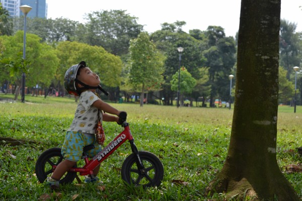 子供 公園 持って行ける自転車