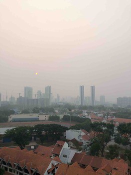 シンガポールの公害 ヘイズ とは 焼畑農業について考える みどのblog シンガポール子連れ情報 グルメ