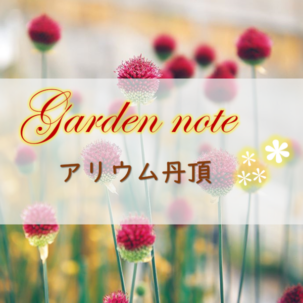 アリウム丹頂のガーデニングノート Crown Vetch