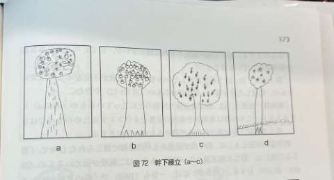 バウムテストを読み解く: 発達的側面を中心に | ナオミ, 中島