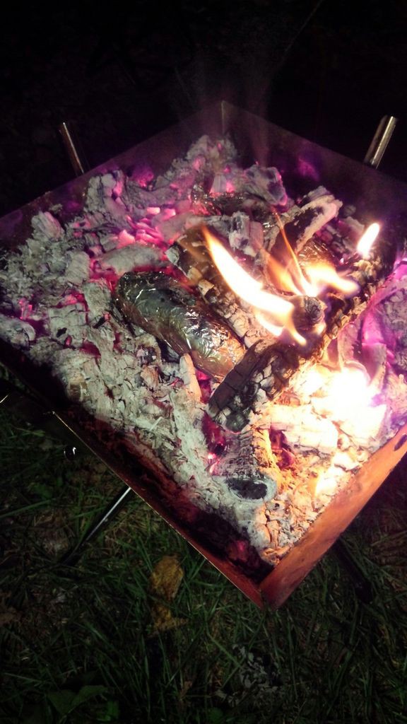 焚き火で焼き芋 鮭のホイル焼き 焼きマシュマロ リュック一つでキャンプするはずだった女ブログ