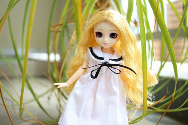 リトルプーリップをオビツ21にカスタム（ブルーアリス） : ドールとお散歩