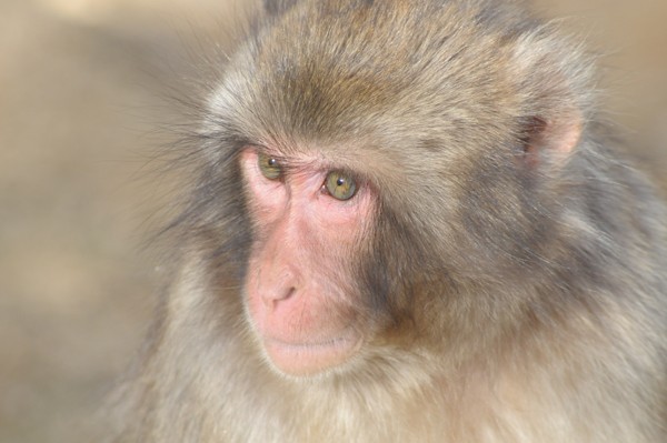 えてこう Mikekazuyaのブログ