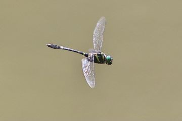 コメントログ42 1026 1050 Mikiko S Room