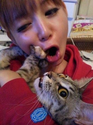 中川翔子の愛猫が主人公のアニメ おまかせマミタス Nhk Eテレで放送開始 アニメ感想 漫画情報 天狐ちゃんねる