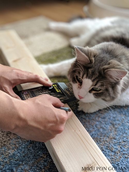 予算は三千円 大型猫のための爪とぎ作り Diy ディアウォールと麻縄で一生モノの爪とぎができました ミクぽんのご飯記録