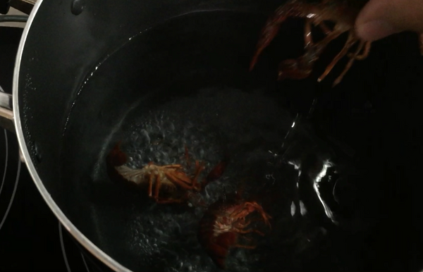 ザリガニ注意 ザリガニでエビチリ作ったったｗｗｗｗｗｗｗｗｗｗｗｗｗ ヨーソロー まとめずら