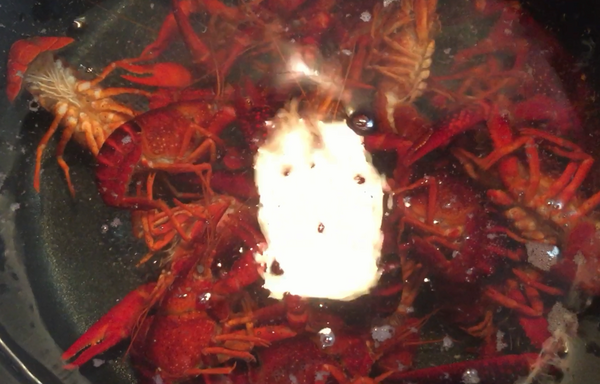 ザリガニ注意 ザリガニでエビチリ作ったったｗｗｗｗｗｗｗｗｗｗｗｗｗ ヨーソロー まとめずら