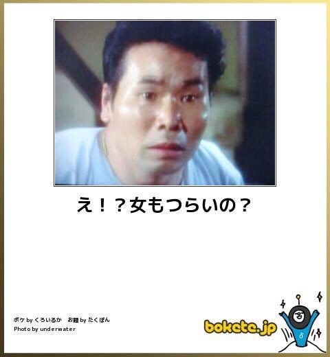 画像 ボケての最高傑作と言えばこれだろｗｗｗｗｗ その１ ヨーソロー まとめずら