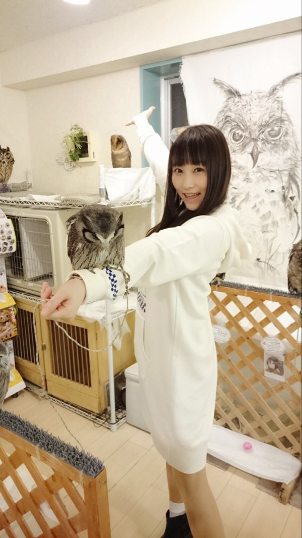 画像 巽悠衣子さん ぽっちゃりになる おたくみくす 声優まとめ