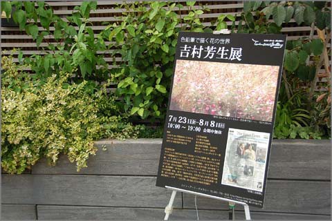 色鉛筆で描く花の世界
