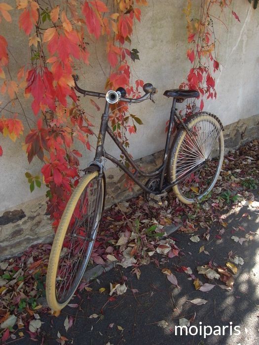 ハンドメイド自転車の黄金時代 : 華麗なるフランスの旅行車たち 本物 【】ハンドメイド自転車の黄金時代 華麗なるフランスの旅行自転車
