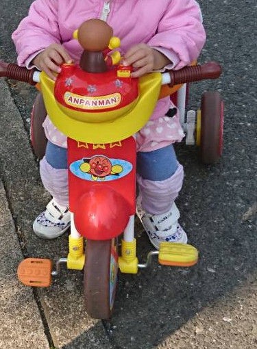 1歳後半 2歳 Dバイクミニ おすすめ 乗り物おもちゃ おひとりさま 高齢シンママの徒然