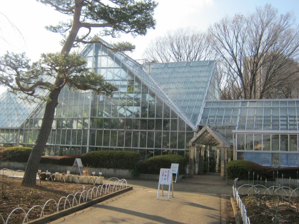 過激すぎる植物園 心臓麻痺を起こす 死亡する なんて警告文だらけ 東京都薬用植物園 東大和 東京別視点ガイド