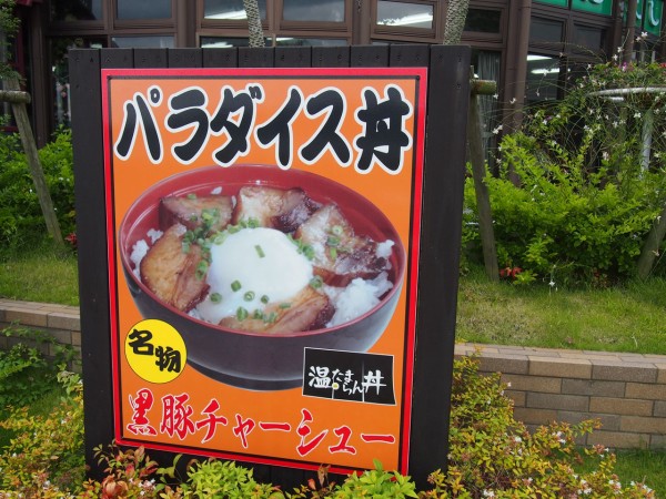 未確認生物イッシーって結局どうなったの？鹿児島県の「池田湖」で