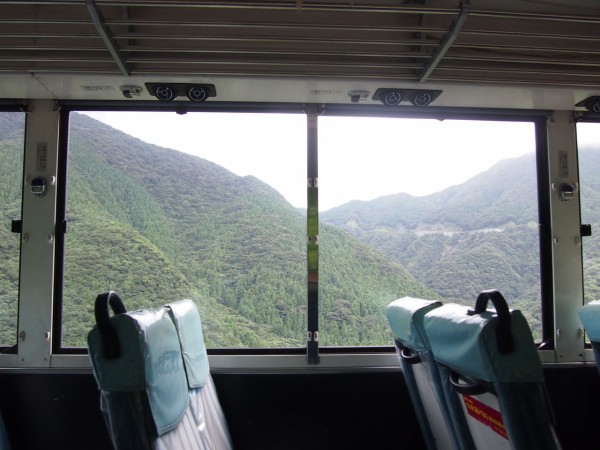 屋久島】もののけ姫のモデルとなった「白谷雲水峡」の苔むす森に行っ