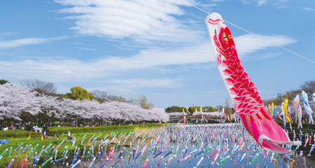 世界でただ一つの引舟　飾り物にも 道端に突如おにぎりが現われ、突如消えたというお話し : 東京別視点ガイド