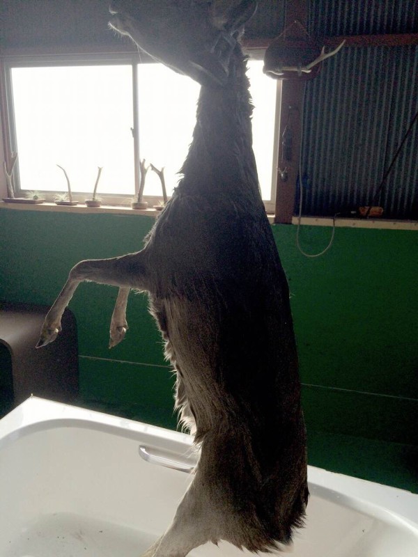 インタビュー 動物の神隠し 視界がジャックされる場所 地図にない謎の空き地 現役猟師に不思議体験を聞いてきた 東京別視点ガイド