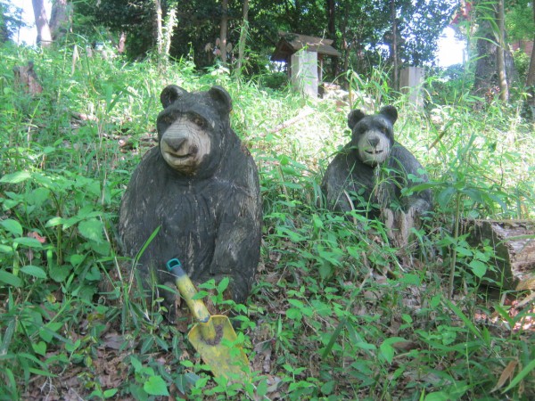 チェーンソーで作った木彫りグマが１２０匹以上いる 熊の森ミュージアム 千葉県長尾郡 東京別視点ガイド