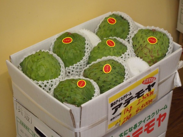 那覇・国際通り】森のアイスクリーム「アテモヤ」を食べてみた！すんげ 