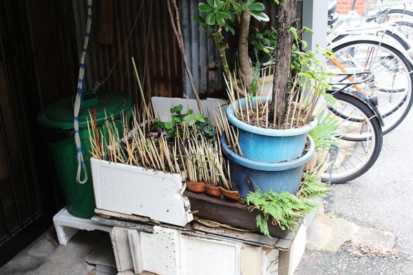 植木鉢百景】装備からみえる悲痛な庭先事情 : 東京別視点ガイド