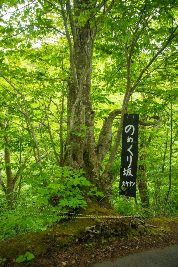 青森の秘湯】ランプだけの宿「青荷温泉」は電気もなければ電波もない