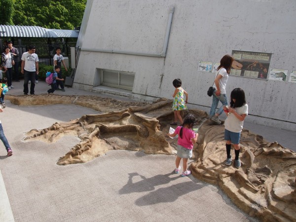 群馬県の 神流町恐竜センター では恐竜の骨を好き放題触れるよ 東京別視点ガイド