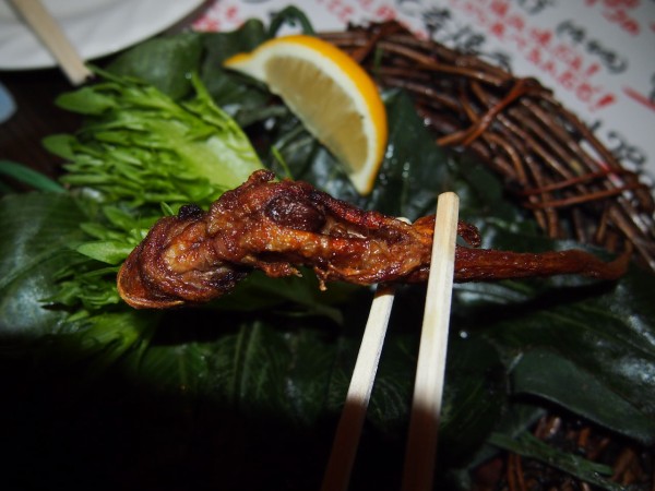 珍獣屋 でウーパールーパーの一本揚げ ワニの手の一本揚げ マンボウの刺身を食べてきた 東京別視点ガイド