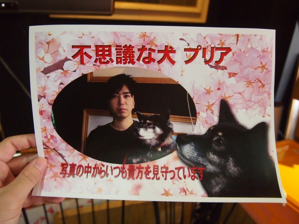 川越陣力屋 で究極の癒し犬プリアと２ショット撮影してきた 東京別視点ガイド