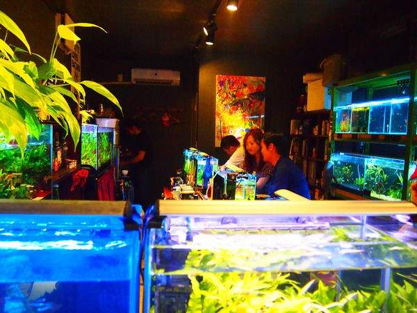昼は熱帯魚屋 夜はバー 近藤熱帯魚店 で魚を凝視しつつ カクテルを飲もう 東京別視点ガイド