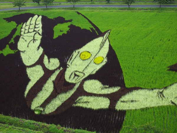 花魁とモンロー】青森県田舎館村の「田んぼアート」はレベル高すぎ