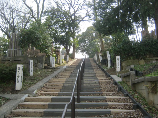 都市伝説検証 青山霊園には マークの標識 が本当にあるのか 東京別視点ガイド