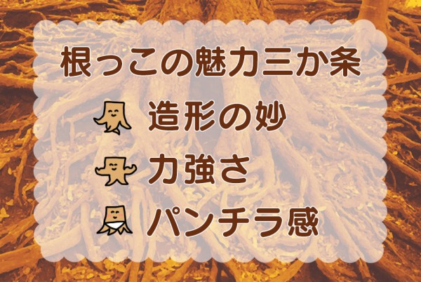 朗報 宮古島は根っこの島だった 東京別視点ガイド