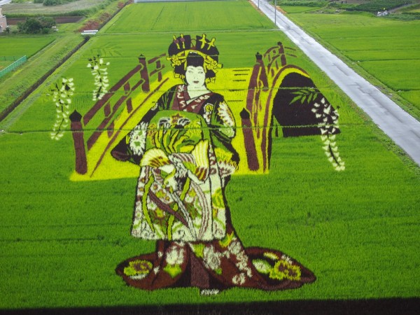 花魁とモンロー】青森県田舎館村の「田んぼアート」はレベル高すぎ
