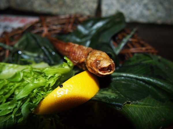 珍獣屋 でウーパールーパーの一本揚げ ワニの手の一本揚げ マンボウの刺身を食べてきた 東京別視点ガイド