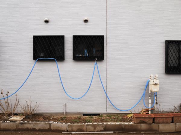 インタビュー 写真家 中島由佳は なぜホースとフグを撮り続けるのか 東京別視点ガイド