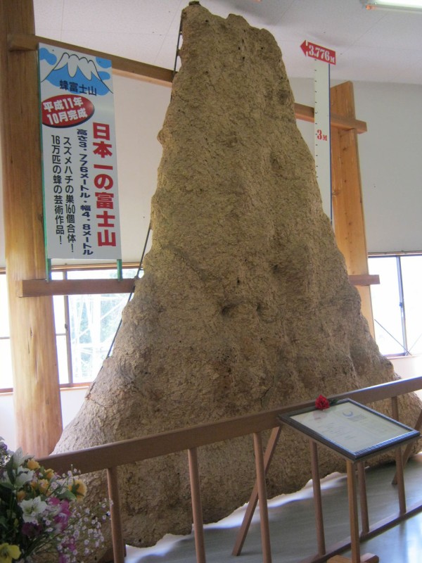 蜂の巣 特大 巨大 スズメバチの巣 直径約45〜55cm天然物 標本 オブジェ