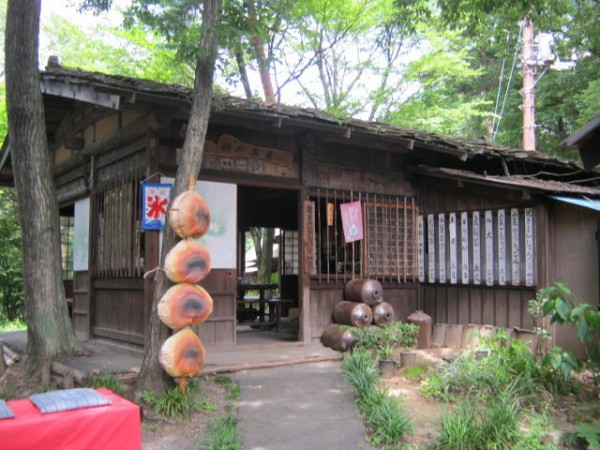 江戸時代の貧しい村を再現したテーマパーク「三日月村」【群馬県薮塚