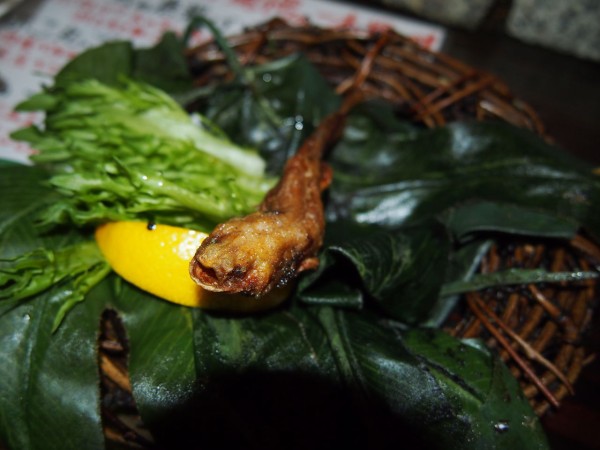 珍獣屋 でウーパールーパーの一本揚げ ワニの手の一本揚げ マンボウの刺身を食べてきた 東京別視点ガイド