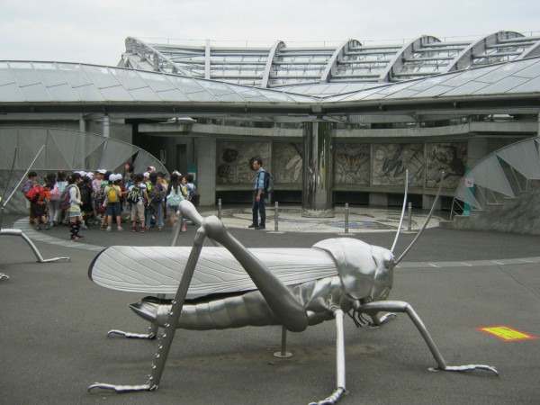 閲覧注意 ゴキブリうっじゃうじゃ 世界最大級のヨロイモグラゴキブリもいるよ 多摩動物公園 昆虫園 多摩動物公園 東京別視点ガイド
