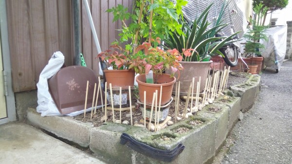 植木鉢百景】装備からみえる悲痛な庭先事情 : 東京別視点ガイド