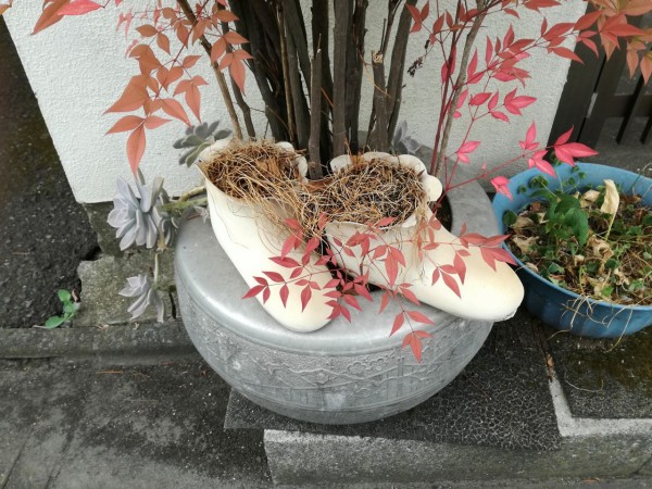 一本木くり抜き鉢 一本木くり抜き鉢