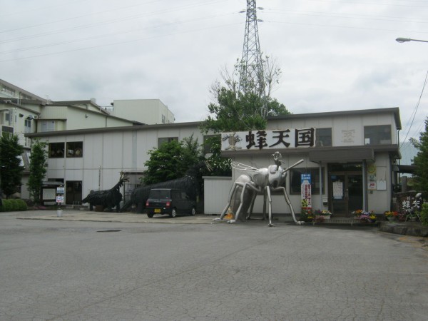 160個のスズメバチの巣を合体させた富士山だって！？世にも奇妙な