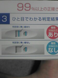 俺の尻で 妊娠検査薬の陽性反応を出せるか 実践編 黙々と珍企画を行うブログ