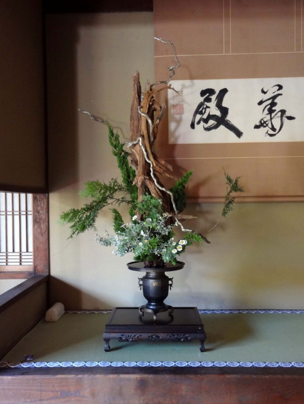 小雪の候 御寺泉涌寺 別院雲龍院 時折の事 華と写真と書 清水南龍