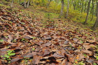 高清水自然公園 宮床湿原の紅葉 みなみやま観光スタッフブログ
