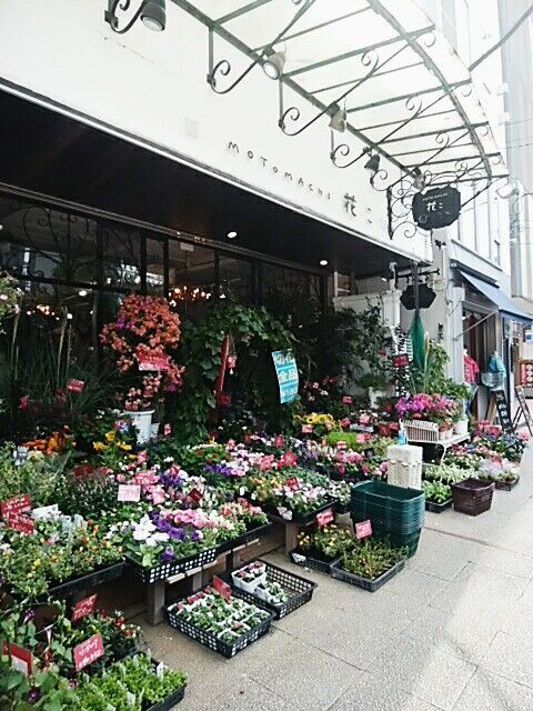 元町の花屋さん 花こ みなと時間 草を食む暮らし