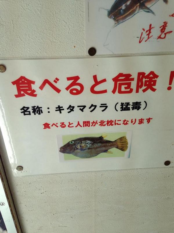 面白い魚の名の由来とは ニュースリリース