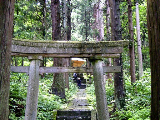 高安犬 ミントパパの隠居日記